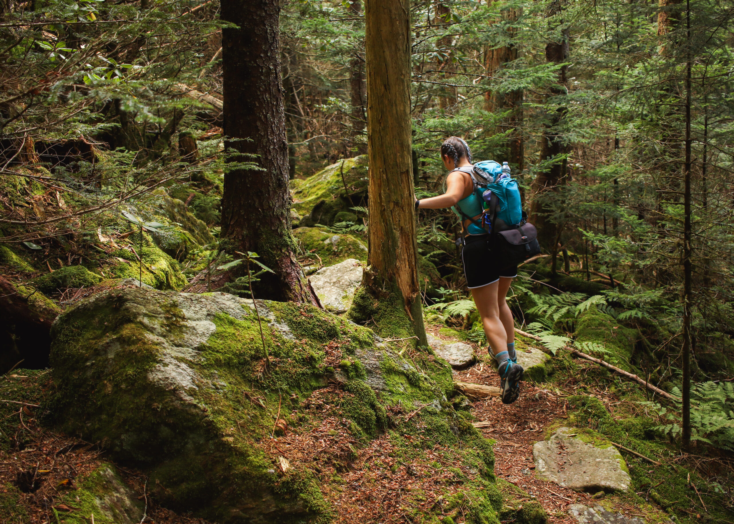 Hit the Trail: 5 Essentials to Get You Hiking